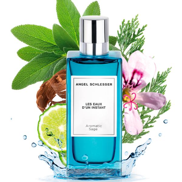 Парфюм для мужчин Angel Schlesser INSTANT AROMATIC SAGE Туалетная вода / Фужерный  photo 3 Парфюм для мужчин Angel Schlesser INSTANT AROMATIC SAGE Туалетная вода / Фужерный  photo 3