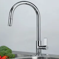 Baterie pentru bucătărie Franke Ambient Extractibil O singură pârghie / pivotantă / Alamă / Crom photo 3