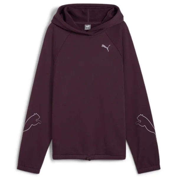Hanorac pentru femei Puma Motion Hoodie Fl All-season / Bordo photo 1