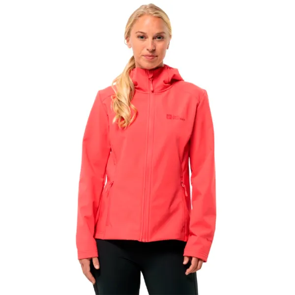 Hanorac pentru femei Jack Wolfskin Bornberg Hoody W Toamnă - iarnă / Red photo 2
