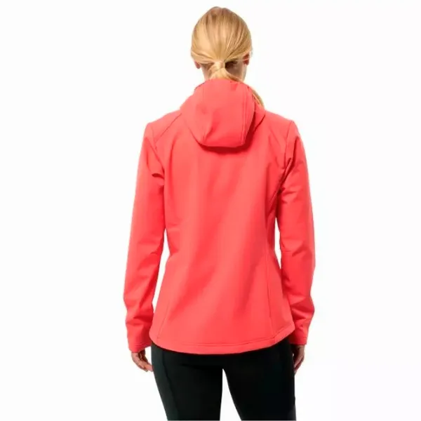 Hanorac pentru femei Jack Wolfskin Bornberg Hoody W Toamnă - iarnă / Red photo 3