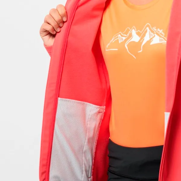 Hanorac pentru femei Jack Wolfskin Bornberg Hoody W Toamnă - iarnă / Red photo 5