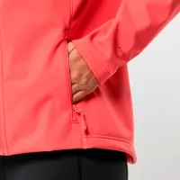 Hanorac pentru femei Jack Wolfskin Bornberg Hoody W Toamnă - iarnă / Red photo 4
