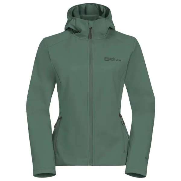 Hanorac pentru femei Jack Wolfskin Bornberg Hoody W Toamnă - iarnă / Green photo 1