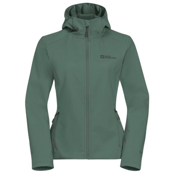 Hanorac pentru femei Jack Wolfskin Bornberg Hoody W Toamnă - iarnă / Green photo 1