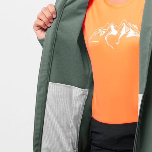 Hanorac pentru femei Jack Wolfskin Bornberg Hoody W Toamnă - iarnă / Green photo 5