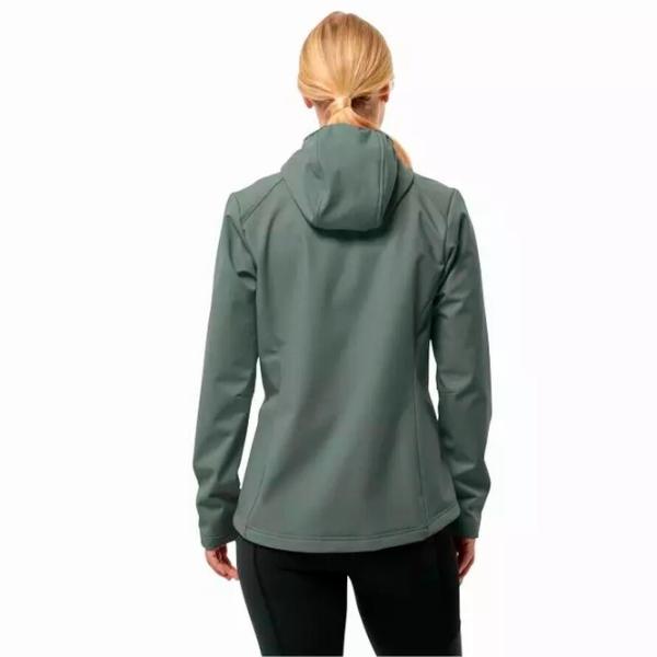 Hanorac pentru femei Jack Wolfskin Bornberg Hoody W Toamnă - iarnă / Green photo 3