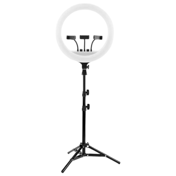 Штатив с круглой лампой Selfie Ring Light RL-14 360 мм Черный photo 1