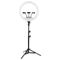 Штатив с круглой лампой Selfie Ring Light RL-14 360 мм Черный