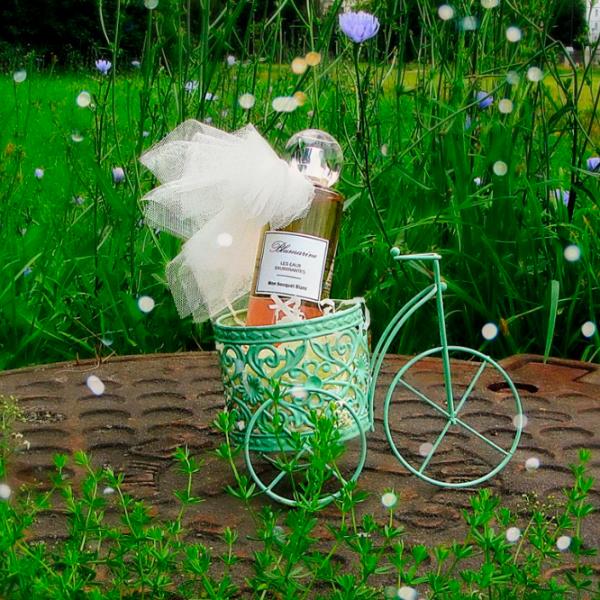 Parfum pentru femei BLUMARINE MON BOUQET BLANC Apă de toaletă / Floral photo 8 Parfum pentru femei BLUMARINE MON BOUQET BLANC Apă de toaletă / Floral photo 8