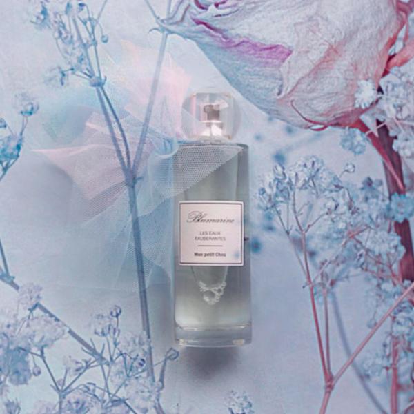Parfum pentru femei BLUMARINE EAUX MON PETIT CHOU Apă de toaletă / Dulce photo 7 Parfum pentru femei BLUMARINE EAUX MON PETIT CHOU Apă de toaletă / Dulce photo 7