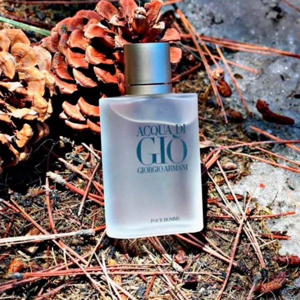 Лосьон после бритья Giorgio Armani Acqua di Gio Pour Homme 100 мл photo 3