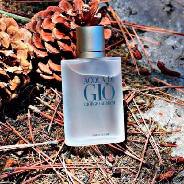 Лосьон после бритья Giorgio Armani Acqua di Gio Pour Homme 100 мл photo 3