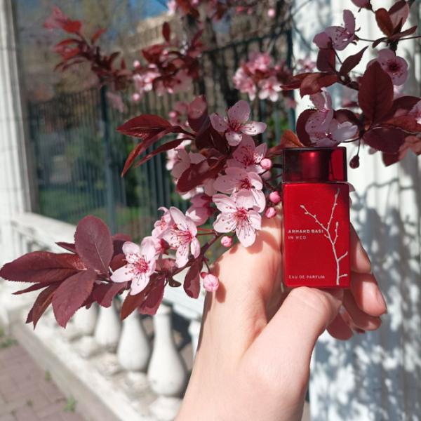 Parfum pentru femei Armand Basi IN RED Apă de parfum / Floral photo 7