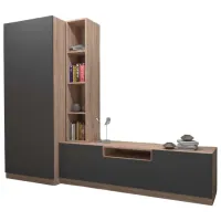 Гостиная Arta Mobilei AM114 Модульная / Дуб Сонома