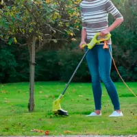 Trimmer Ryobi RLT2925 / Green photo 3