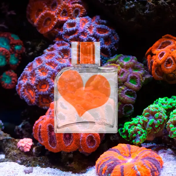Parfum pentru femei Jeanne Arthes Sweet Sixteen Coral Apă de parfum / Oriental photo 5 Parfum pentru femei Jeanne Arthes Sweet Sixteen Coral Apă de parfum / Oriental photo 5