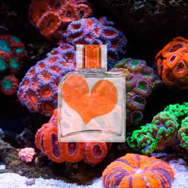 Parfum pentru femei Jeanne Arthes Sweet Sixteen Coral Apă de parfum / Oriental photo 5 Parfum pentru femei Jeanne Arthes Sweet Sixteen Coral Apă de parfum / Oriental photo 5