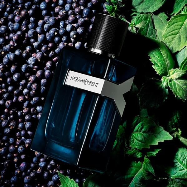 Parfum pentru bărbați Yves Saint Laurent Intense Apă de parfum / Lemnos photo 3