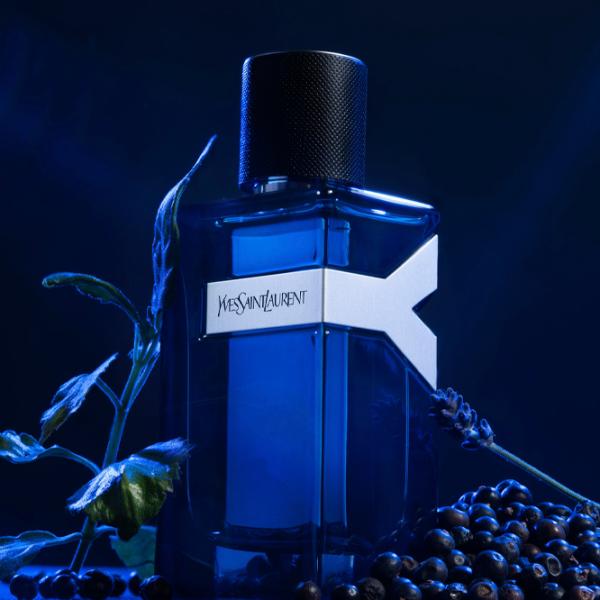 Parfum pentru bărbați Yves Saint Laurent Intense Apă de parfum / Lemnos photo 4