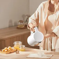 Электрочайник Xiaomi Electric Kettle 2 Lite 1.5л / Скрытый / Белый photo 6