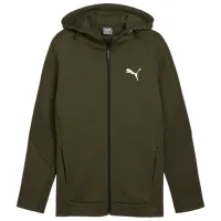 Hanorac pentru bărbați Puma Evostripe Full-Zip Hoodie Dk  Drept / Dark Olive