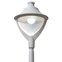 Фонарь Fumagalli P50000000LXH1L 50 Вт