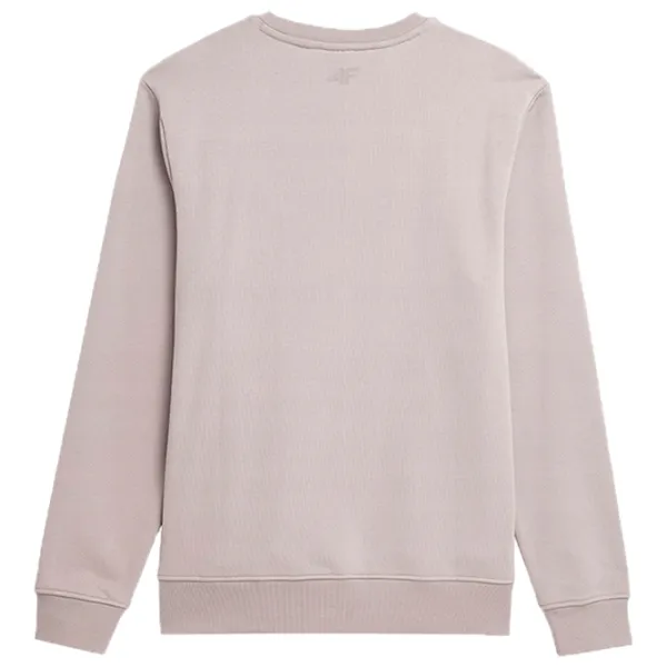 Hanorac pentru bărbați 4F 4fss23tswsm225  Drept / Beige photo 4