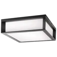 Настенный светильник Philips SKIES 42 Вт / E27