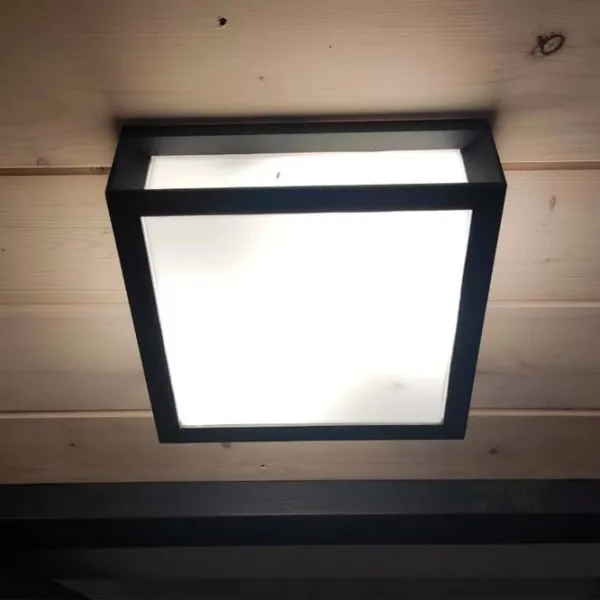 Lampă de perete Philips SKIES 42 W / E27 photo 2