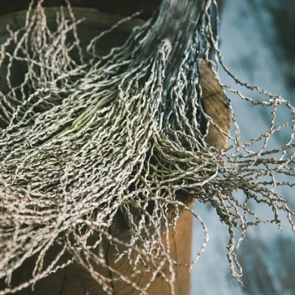 Lenjerie de pat Issimo Home Spasso Bumbac photo 2 Lenjerie de pat Issimo Home Spasso Bumbac photo 2