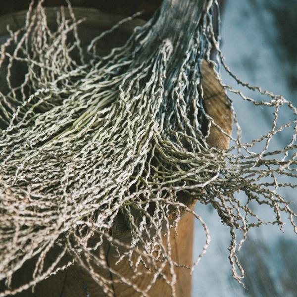 Lenjerie de pat Issimo Home Spasso Bumbac photo 2 Lenjerie de pat Issimo Home Spasso Bumbac photo 2