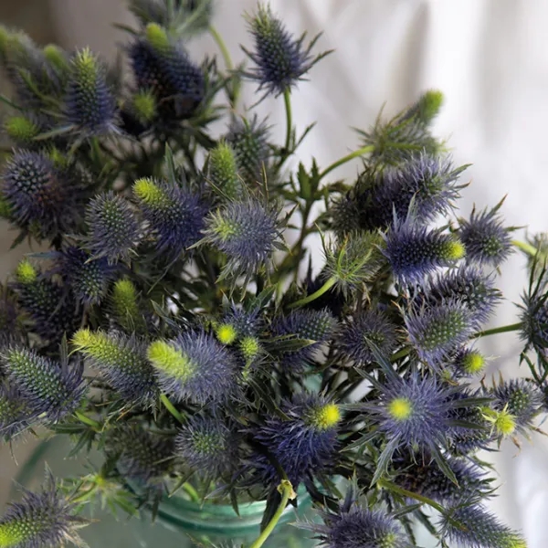 Постельное бельё Issimo Home Lavanda Хлопок photo 4 Постельное бельё Issimo Home Lavanda Хлопок photo 4