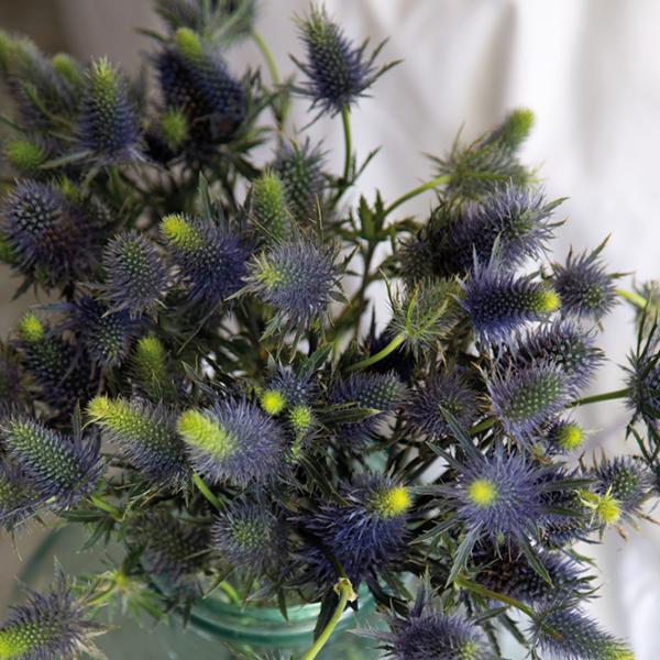 Постельное бельё Issimo Home Lavanda Хлопок photo 4 Постельное бельё Issimo Home Lavanda Хлопок photo 4