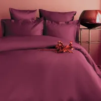 Lenjerie de pat Issimo Home Simply Double Cherry Rot Satin