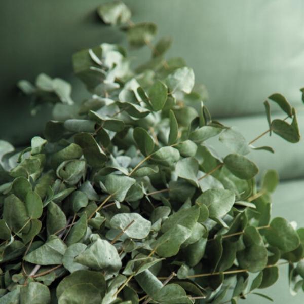 Lenjerie de pat Issimo Home Simply Double Forest Satin photo 3