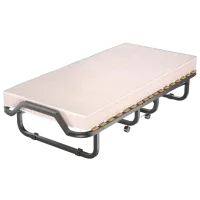 Pat pliant Costway HW69887 Pânză / 110 kg / Black