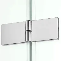 Paravane de duș New Trendy Shower Door New Renoma L Transparent / leagăn photo 3
