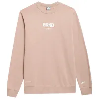 Толстовка для мужчин 4F 4Fss23tswsm237  Прямой / Коричневый