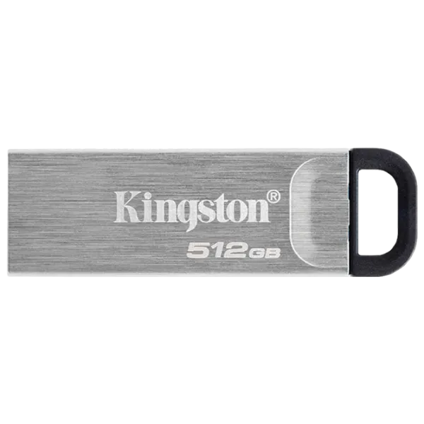 Kingston DataTravel Kyson 512 ГБ Серебряный photo 1