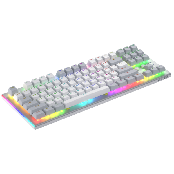 Клавиатура Hator Gravity TKL Проводная / Белый photo 3