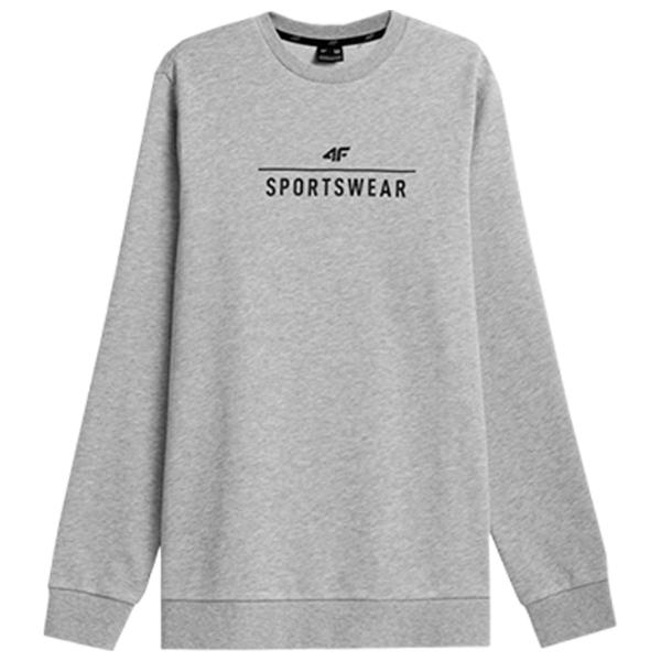 Hanorac pentru bărbați 4F 4FAW23TSWSM692-27M  Drept / Gray photo 1 Hanorac pentru bărbați 4F 4FAW23TSWSM692-27M  Drept / Gray photo 1