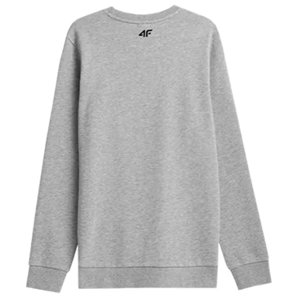 Hanorac pentru bărbați 4F 4FAW23TSWSM692-27M  Drept / Gray photo 2 Hanorac pentru bărbați 4F 4FAW23TSWSM692-27M  Drept / Gray photo 2