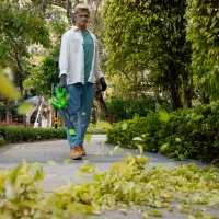 Воздуходувка Greenworks 2405307UD / Зеленый photo 5