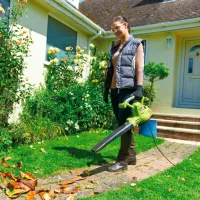 Suflantă de frunze Ryobi RBV3000CSV / Green photo 2