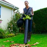 Suflantă de frunze Ryobi RBV3000CSV / Green photo 4