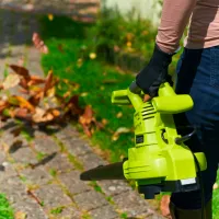 Suflantă de frunze Ryobi RBV3000CSV / Green photo 6