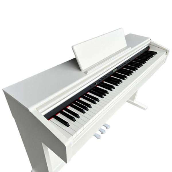 Цифровой пиан Flame B97-WH Акустический / 88 клавиш / Split / Белый photo 4