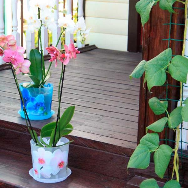 Ghiveci pentru flori Idea М3105 Multicolor / Polipropilenă / Pe pervaz photo 3 Ghiveci pentru flori Idea М3105 Multicolor / Polipropilenă / Pe pervaz photo 3