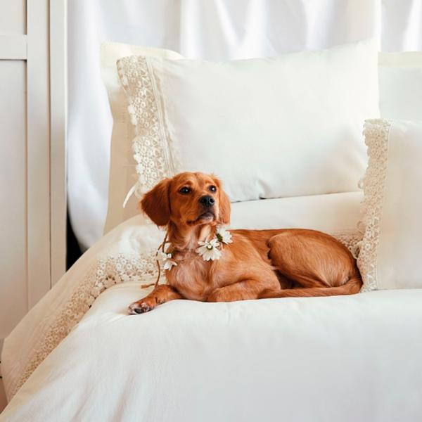 Постельное бельё Issimo Home Daisy Double Vanilla Хлопок photo 4